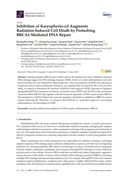 Inhibition of Karyopherin-Α2 Augments Radiation-Induced Cell Death by Perturbing BRCA1-Mediated DNA Repair