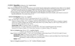 Species Cirrhigaleus Australis White Et Al., 2007 - Southern Mandarin Dogfish [=Cirrhigaleus Australis White [W