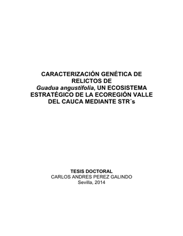 CARACTERIZACIÓN GENÉTICA DE RELICTOS DE Guadua Angustifolia, UN ECOSISTEMA ESTRATÉGICO DE LA ECOREGIÓN VALLE DEL CAUCA MEDIANTE STR´S