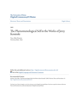 The Phenomenological Self in the Works of Jerzy Kosinski