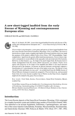 A New Short-Legged Landbird from the Early Eocene of Wyoming and Contemporaneous European Sites