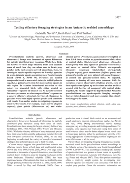 Testing Olfactory Foraging Strategies in an Antarctic Seabird Assemblage