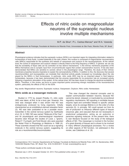 Effects of Nitric Oxide on Magnocellular Neurons of the Supraoptic Nucleus Involve Multiple Mechanisms