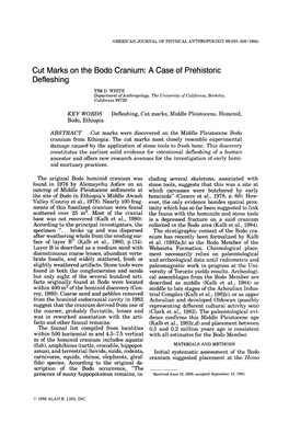 Cut Marks on the Bodo Cranium: a Case of Prehistoric Defleshing TIM D