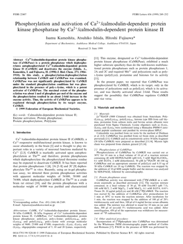 Phosphorylation and Activation of Ca2+/Calmodulin-Dependent Protein