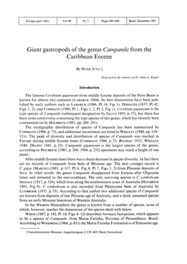 Giant Gastropods of the Genus Campanile from the Caribbean Eocene