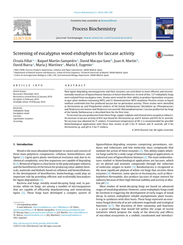 Screening of Eucalyptus Wood Endophytes for Laccase Activity