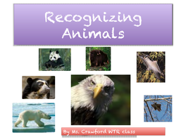Recognizing Animals