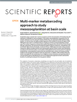 Multi-Marker Metabarcoding Approach to Study Mesozooplankton at Basin