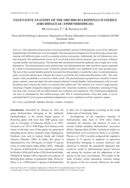 Vegetative Anatomy of the Orchid Bulbophyllum Sterile (Orchidaceae: Epidendroideae)