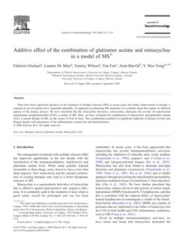 Additive Effect of the Combination of Glatiramer Acetate and Minocycline in a Model of MSB