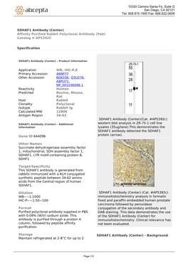 SDHAF1 Antibody (Center) Affinity Purified Rabbit Polyclonal Antibody (Pab) Catalog # AP5392C