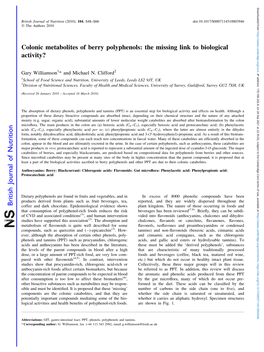 Colonic Metabolites of Berry Polyphenols: the Missing Link to Biological Activity?