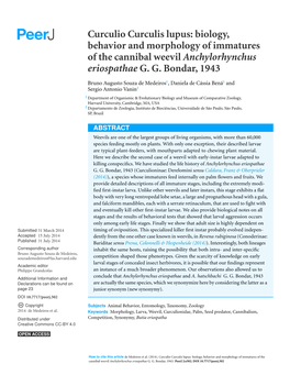 Curculio Curculis Lupus: Biology, Behavior and Morphology of Immatures of the Cannibal Weevil Anchylorhynchus Eriospathae G. G. Bondar, 1943