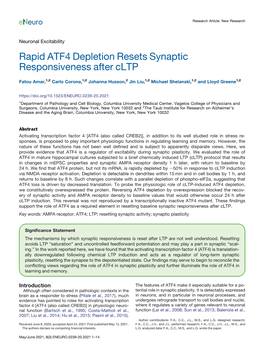 Rapid ATF4 Depletion Resets Synaptic Responsiveness After Cltp