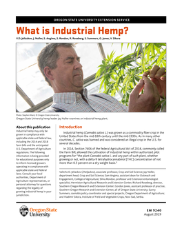 What Is Industrial Hemp? V.D