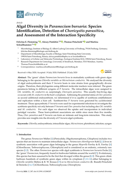 Algal Diversity in Paramecium Bursaria: Species Identification