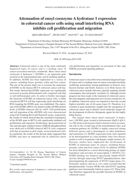 Attenuation of Enoyl Coenzyme a Hydratase 1 Expression in Colorectal Cancer Cells Using Small Interfering RNA Inhibits Cell Proliferation and Migration