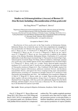 Studies on Schismatoglottideae (Araceae) of Borneo LI: Ooia Revised, Including a Reconsideration of Ooia Grabowskii