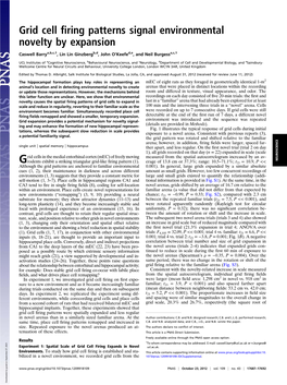 Grid Cell Firing Patterns Signal Environmental Novelty by Expansion