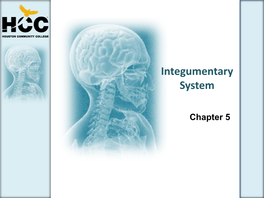 Integumentary System