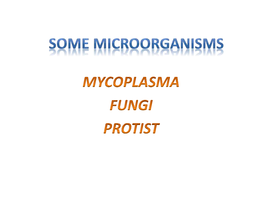 Sexual Reproduction in Fungi