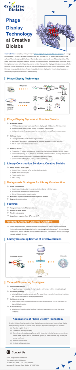Phage Display Technology at Creative Biolabs