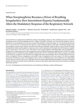 When Norepinephrine Becomes a Driver of Breathing Irregularities: How Intermittent Hypoxia Fundamentally Alters the Modulatory Response of the Respiratory Network