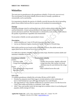 Whitefly Monitoring