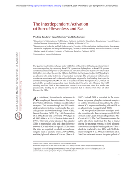 The Interdependent Activation of Son-Of-Sevenless and Ras