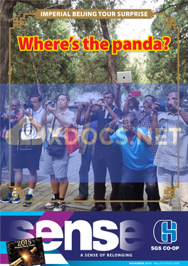 Where's the Panda?