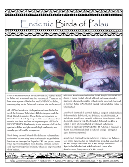 Endemic Birds of Palau