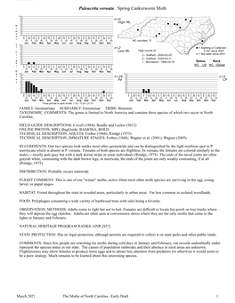 Moths of North Carolina - Early Draft 1