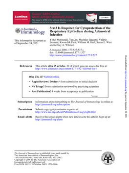 Infection Respiratory Epithelium During Adenoviral Stat3 Is Required