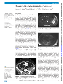 Osseous Blastomycosis Mimicking Malignancy Sammantha Kouba,1 Takaaki Kobayashi ‍ ‍ ,2 Jeffery Meier,2 Poorani Sekar2