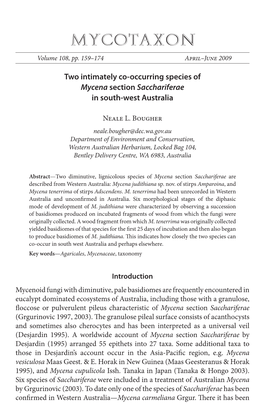 Two Intimately Co-Occurring Species of <I>Mycena</I> Section <I>Sacchariferae</I> in South-West Australi