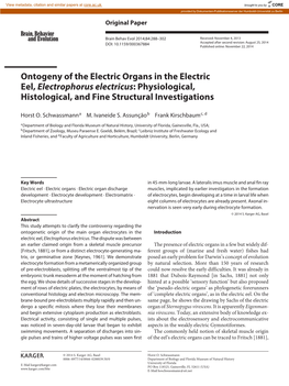 Ontogeny of the Electric Organs in the Electric Eel, Electrophorus Electricus : Physiological, Histological, and Fine Structural Investigations