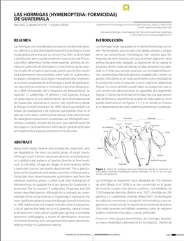 Las Hormigas (Hymenoptera: Formicidae) De Guatemala Michael G