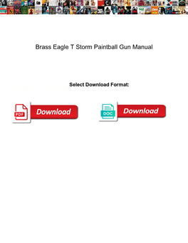 Brass Eagle T Storm Paintball Gun Manual