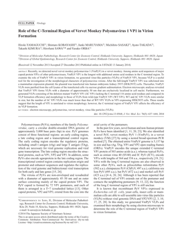 Role of the C-Terminal Region of Vervet Monkey Polyomavirus 1 VP1 in Virion Formation