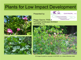 Plants for Low Impact Development