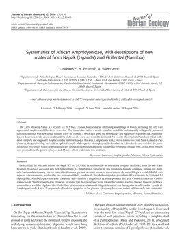 Systematics of African Amphicyonidae, with Descriptions of New Material from Napak (Uganda) and Grillental (Namibia)