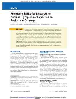 Promising Sines for Embargoing Nuclear–Cytoplasmic Export As an Anticancer Strategy