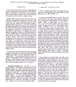 The Section Leobordea (Del.) Benth. Is Geographically the Most Widespread Section of Lotononis (DC.) Eckl