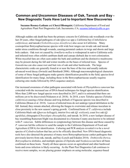 Common and Uncommon Diseases of Oak, Tanoak and Bay - New Diagnostic Tools Have Led to Important New Discoveries