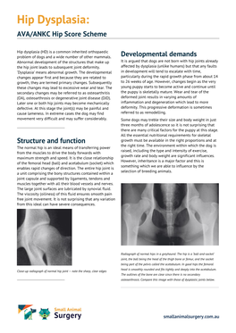 Hip Dysplasia: AVA/ANKC Hip Score Scheme