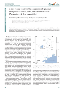 Aphanius Mesopotamicus Coad, 2009, in Southwestern Iran