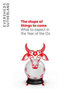 Year of the Ox Disputes Brochure V6