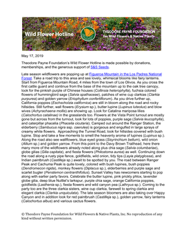 May 17, 2019 Theodore Payne Foundation’S Wild Flower Hotline Is Made Possible by Donations, Memberships, and the Generous Support of S&S Seeds