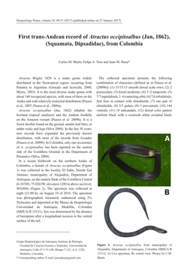 First Trans-Andean Record of Atractus Occipitoalbus (Jan, 1862), (Squamata, Dipsadidae), from Colombia